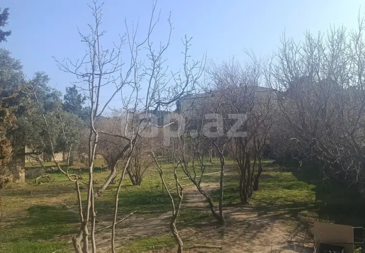 0 m² Obyekt / Ofis , Bilgəh qəs., Sabunçu, Bakı