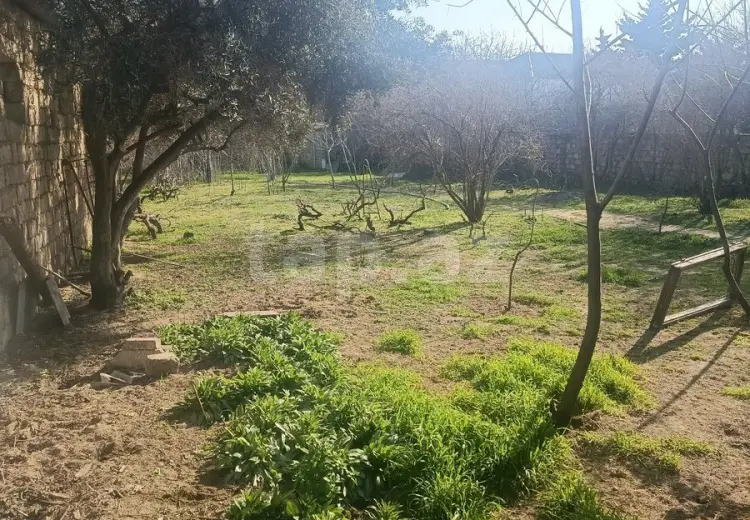 0 m² Obyekt / Ofis , Bilgəh qəs., Sabunçu, Bakı
