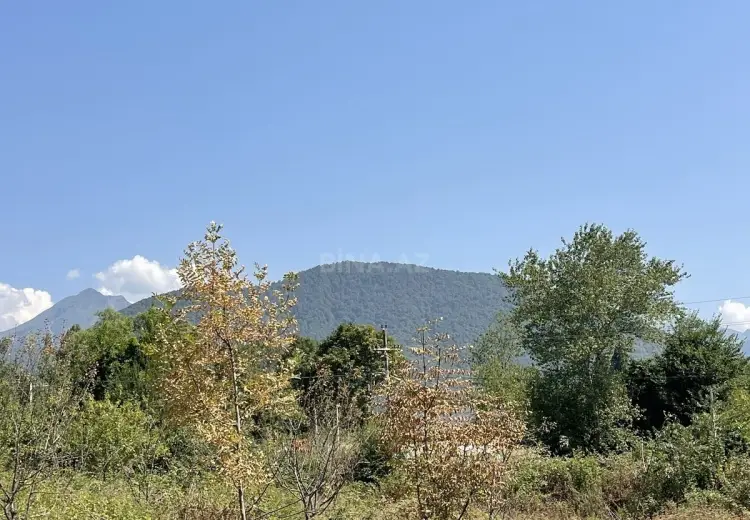 14 sot Torpaq Satılır, Qəbələ