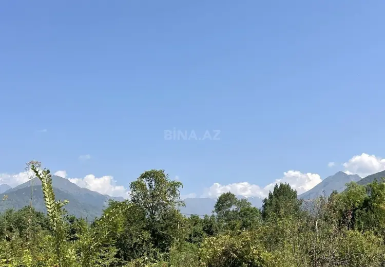 14 sot Torpaq Satılır, Qəbələ