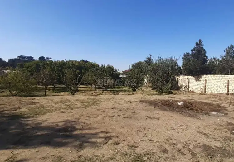 14.5 sot Torpaq Satılır, Bilgəh qəs., Sabunçu, Bakı