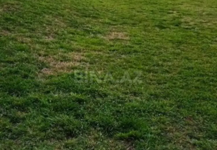 106 m² Obyekt / Ofis Kirayə (aylıq), Yasamal, Bakı