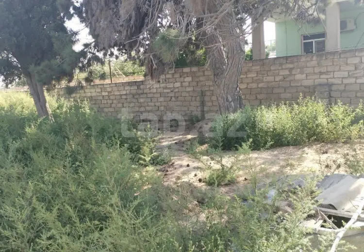 0 m² Obyekt / Ofis , Buzovna, Xəzər, Bakı