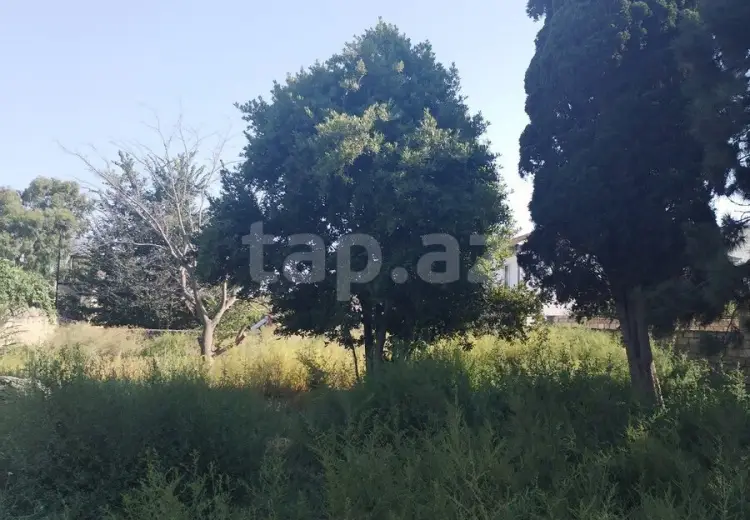 0 m² Obyekt / Ofis , Buzovna, Xəzər, Bakı