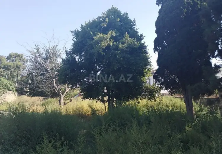 9 sot Torpaq Satılır, Buzovna, Xəzər, Bakı