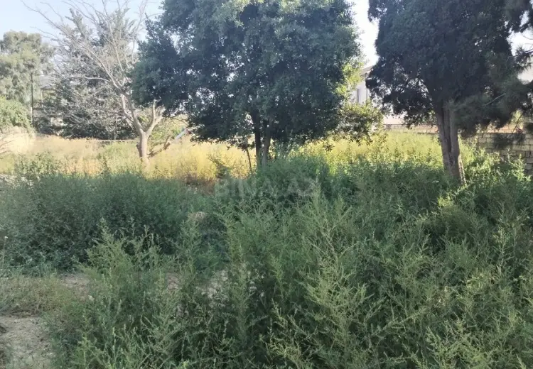 9 sot Torpaq Satılır, Buzovna, Xəzər, Bakı
