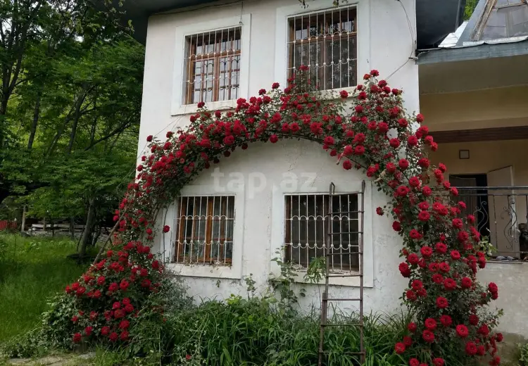 0 m² Obyekt / Ofis , İsmayıllı
