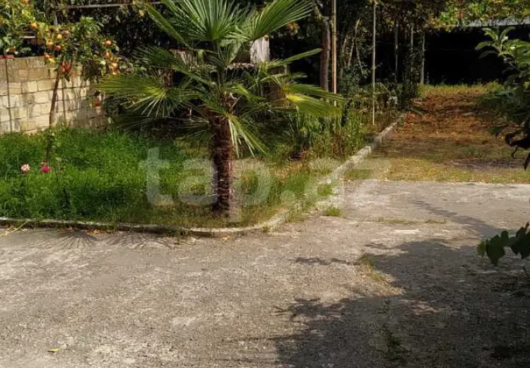 290 AZN - 3 otaqlı mənzil Kirayə (aylıq), Zaqatala
