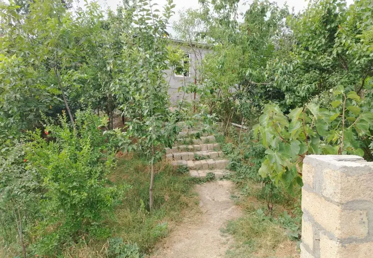3 otaqlı mənzil , Şamaxı