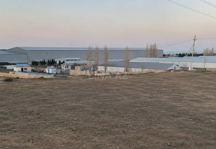 43 sot Torpaq Satılır, Abşeron