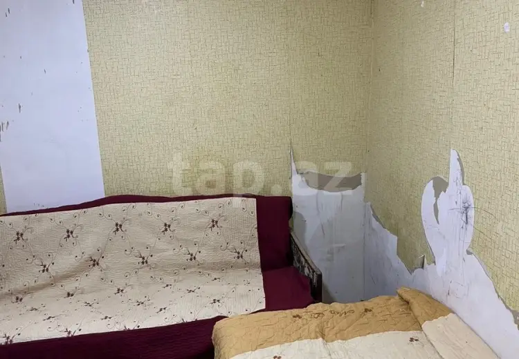 1 otaqlı mənzil Kirayə (aylıq), Bakı