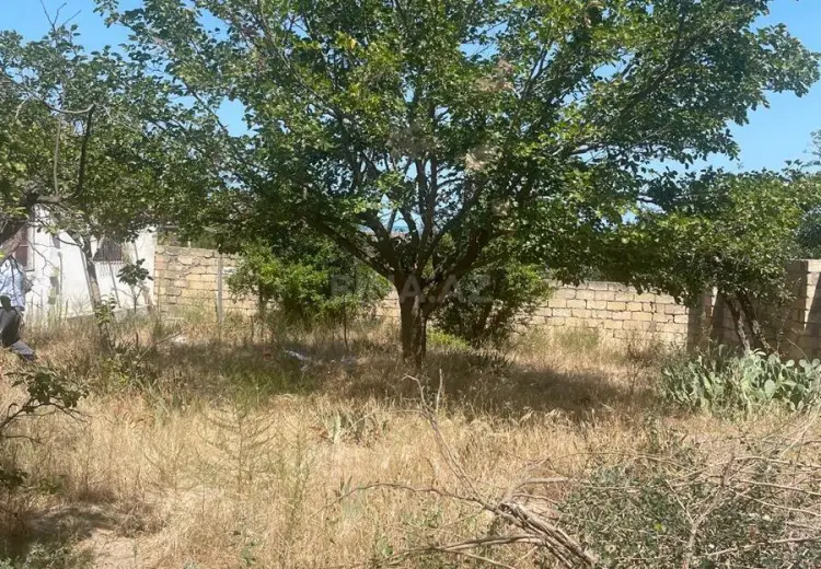 14 sot Torpaq Satılır, Novxanı, Abşeron