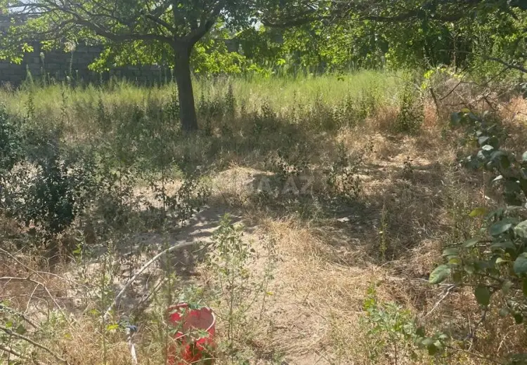 14 sot Torpaq Satılır, Novxanı, Abşeron