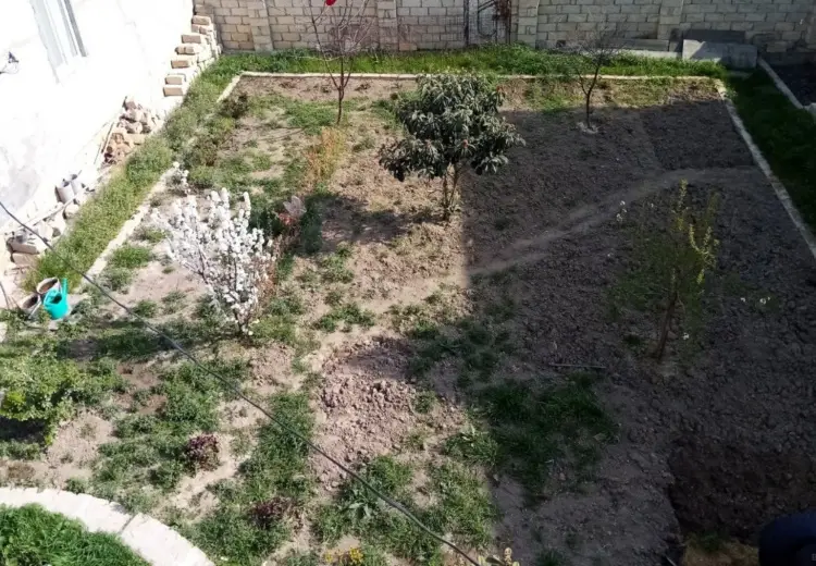 6.2 sot Torpaq Satılır, Masazır, Abşeron