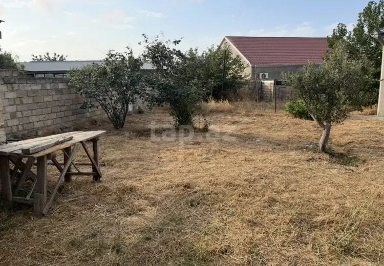 0 m² Obyekt / Ofis , Saray, Abşeron