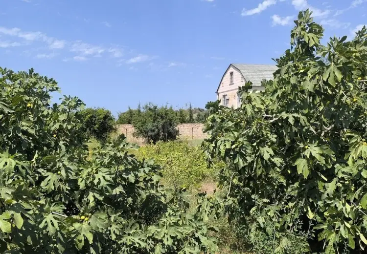 16 sot Torpaq Satılır, Novxanı, Abşeron