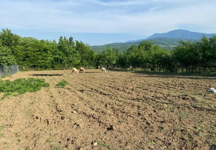 12 sot Torpaq Satılır, Quba