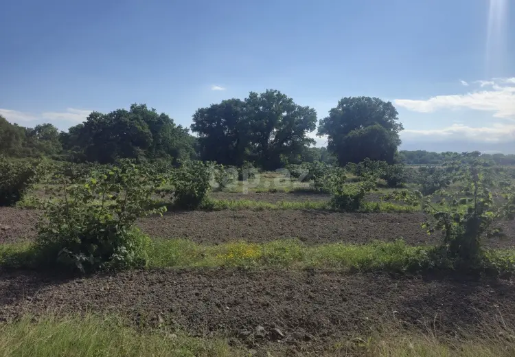 0 m² Obyekt / Ofis , Xaçmaz