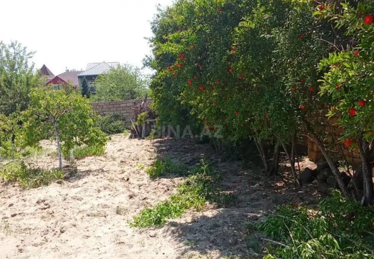 6 sot Torpaq Satılır, Abşeron