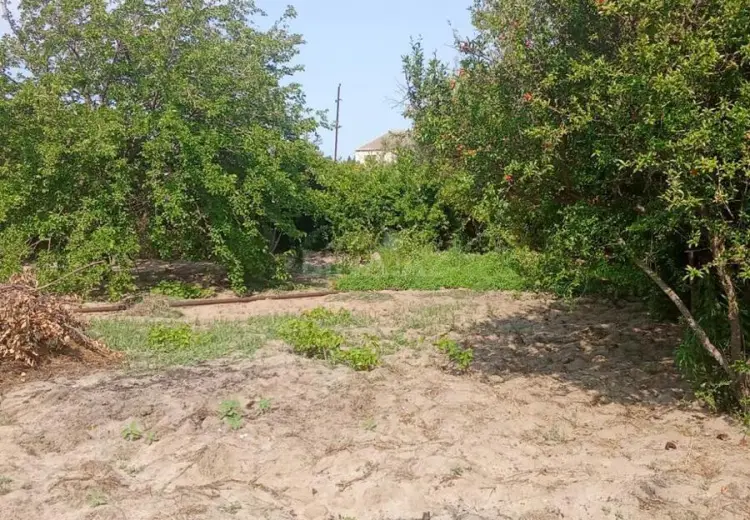 6 sot Torpaq Satılır, Abşeron