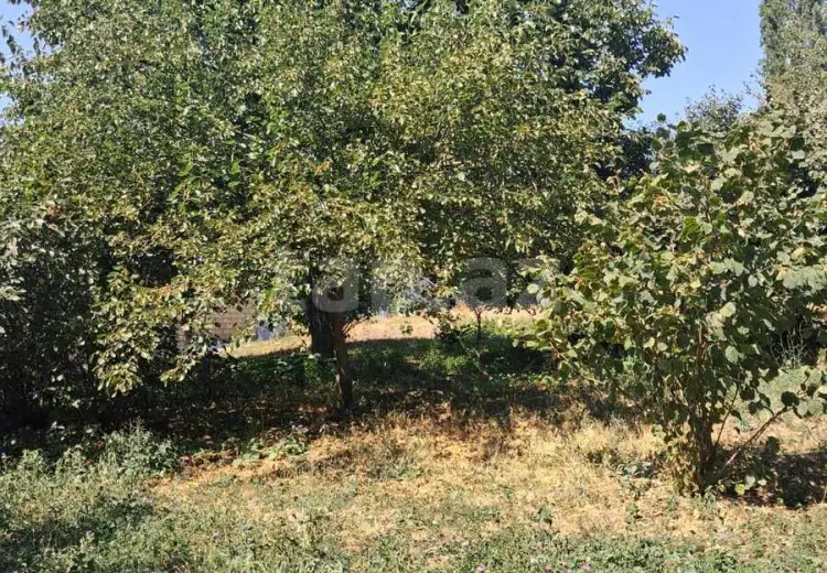0 m² Obyekt / Ofis , Bakı