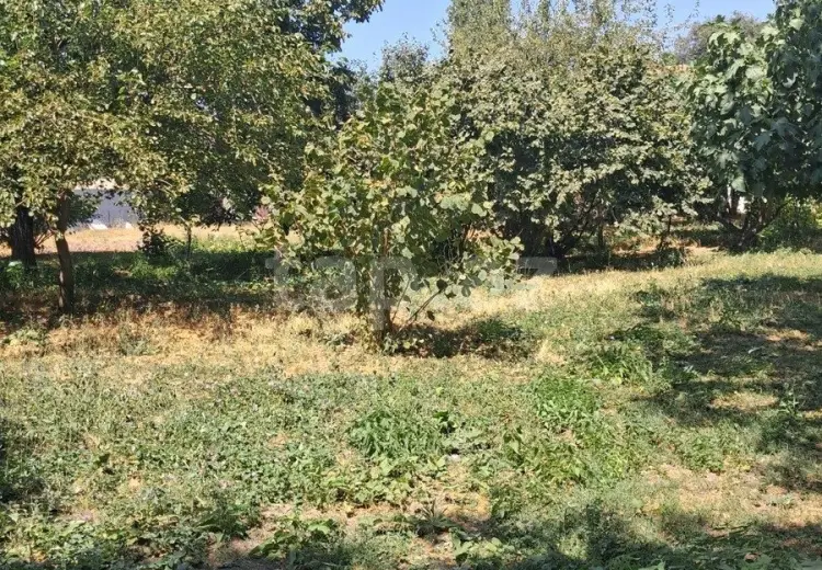 0 m² Obyekt / Ofis , Bakı