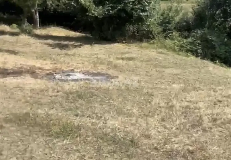 12 sot Torpaq Satılır, Quba