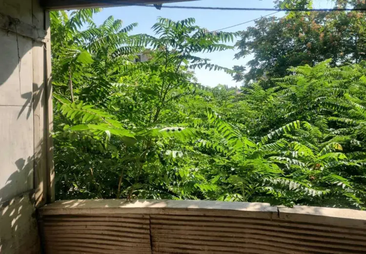 6 sot Torpaq Satılır, Nərimanov, Bakı
