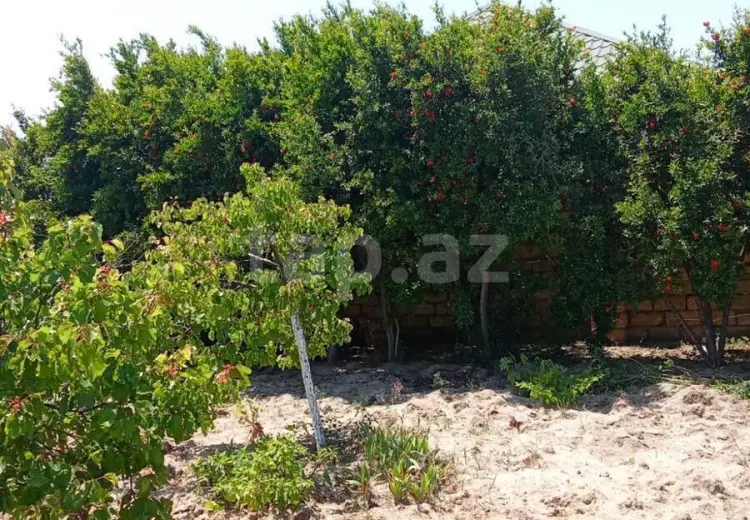 0 m² Obyekt / Ofis , Sumqayıt
