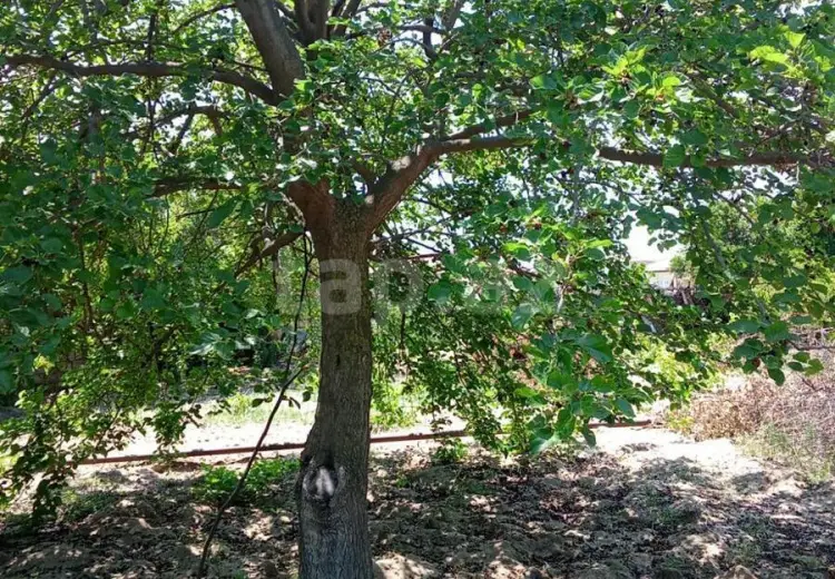0 m² Obyekt / Ofis , Sumqayıt