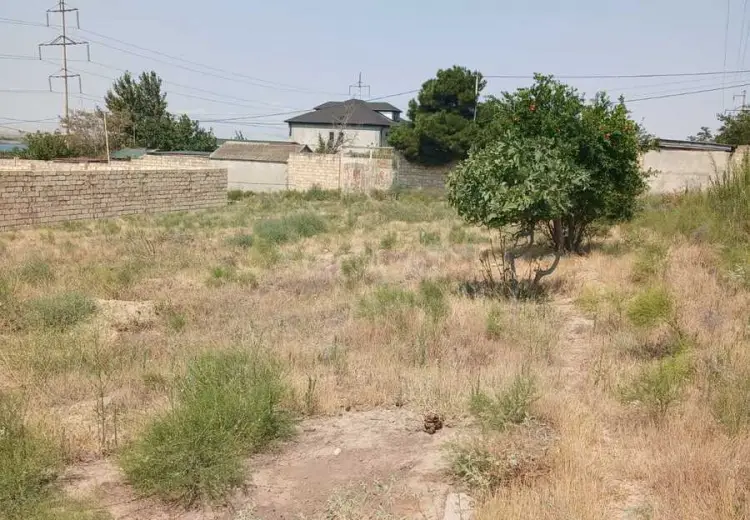 11 sot Torpaq Satılır, Saray, Abşeron