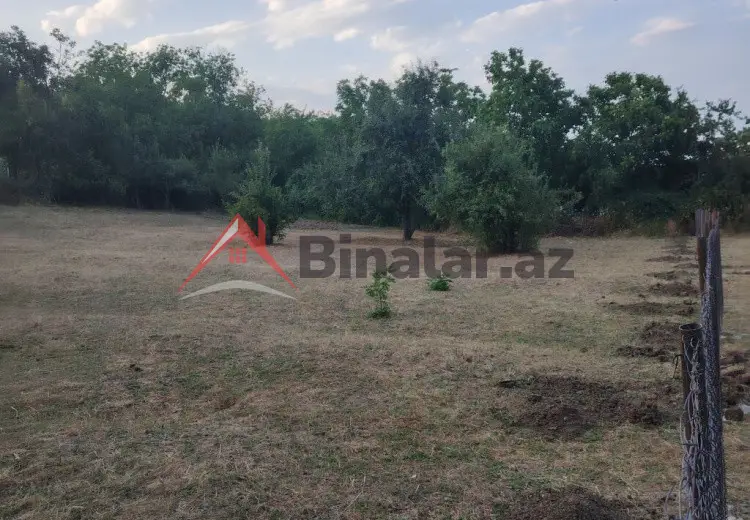 12 sot Torpaq Satılır, Şabran