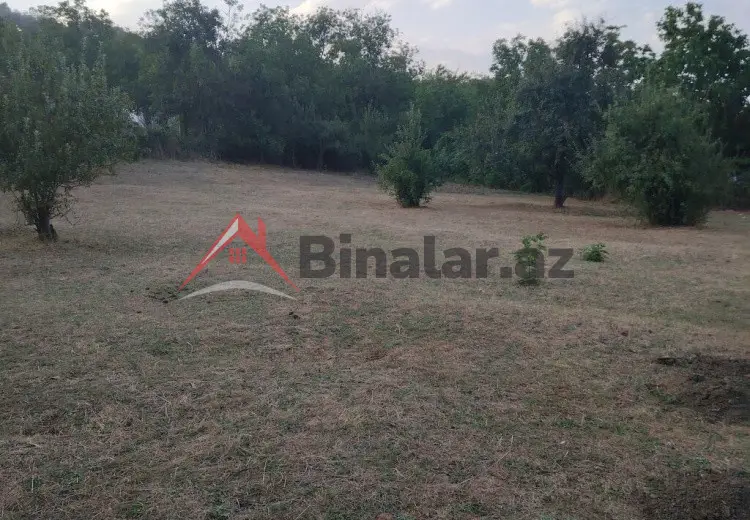 12 sot Torpaq Satılır, Şabran