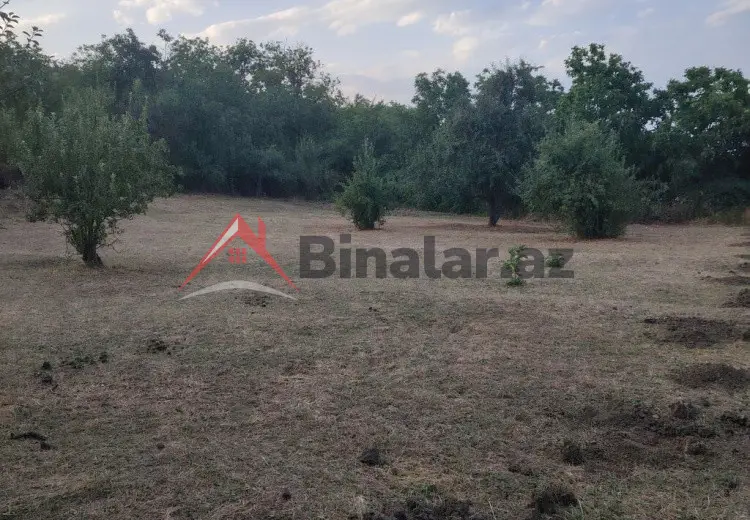 12 sot Torpaq Satılır, Şabran