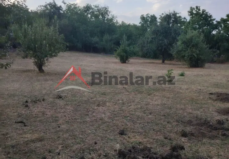 12 sot Torpaq Satılır, Şabran