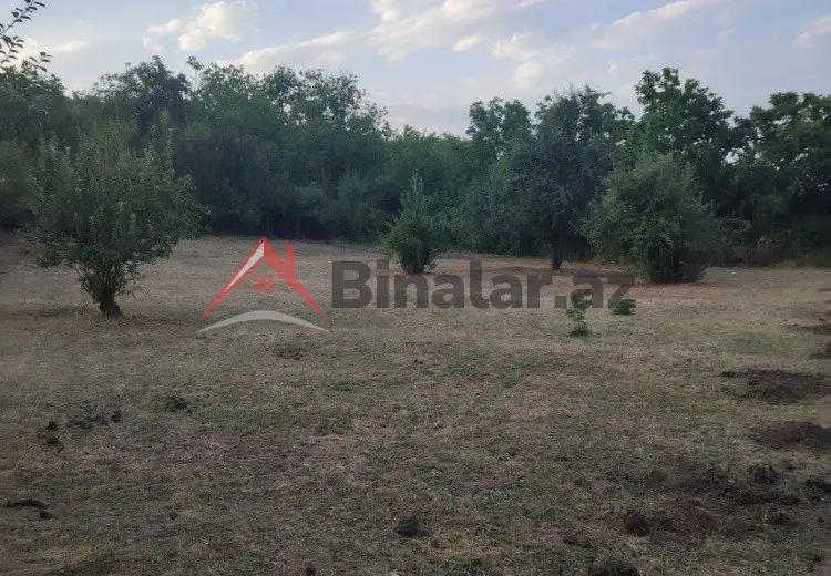 12 sot Torpaq Satılır, Şabran