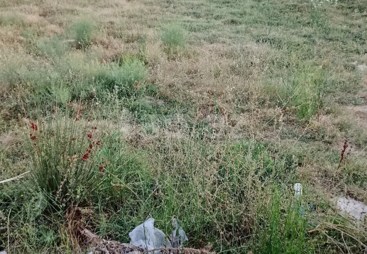 0 m² Obyekt / Ofis , Pirşağı qəs., Sabunçu, Bakı