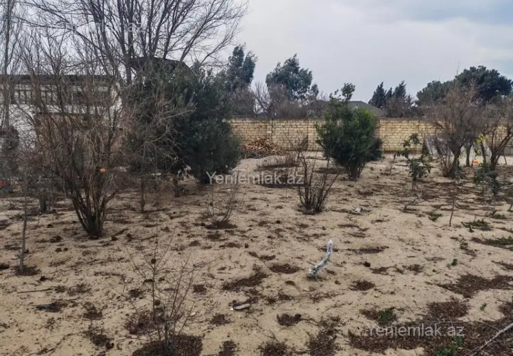 24 sot Torpaq Satılır, Novxanı, Abşeron