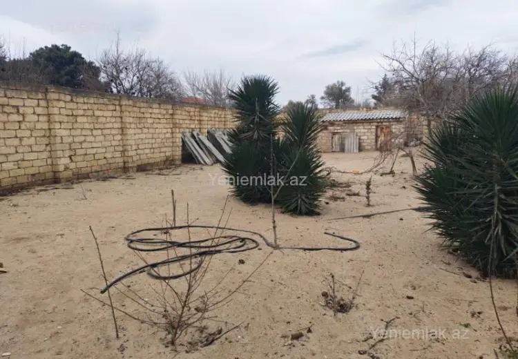 24 sot Torpaq Satılır, Novxanı, Abşeron