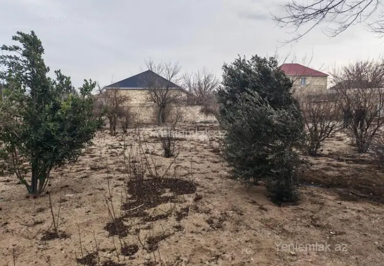 24 sot Torpaq Satılır, Novxanı, Abşeron