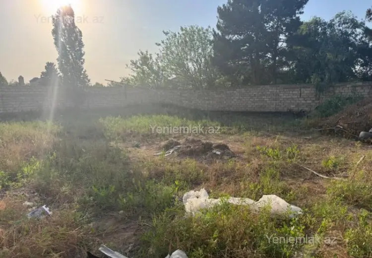6 sot Torpaq Satılır, Novxanı, Abşeron