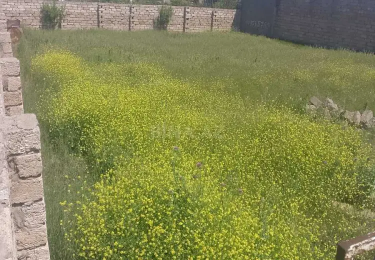 3 sot Torpaq Satılır, Savalan qəs., Sabunçu, Bakı