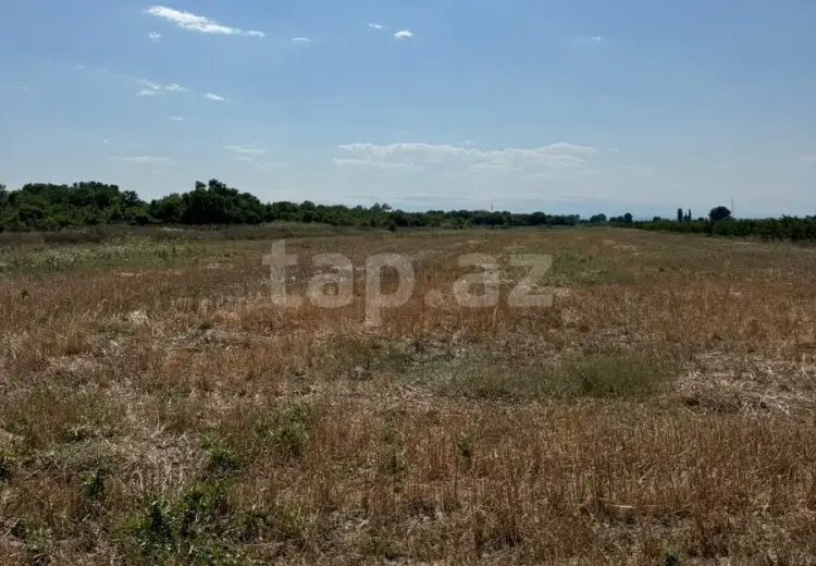 0 m² Obyekt / Ofis , Bakı