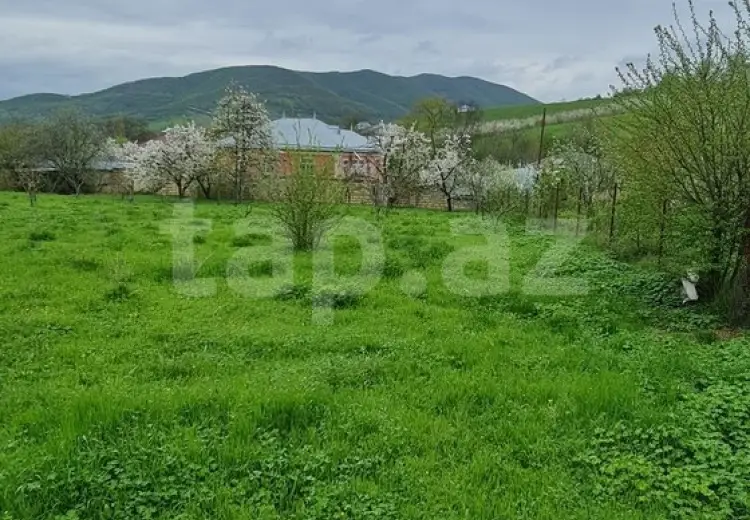 0 m² Obyekt / Ofis , Quba