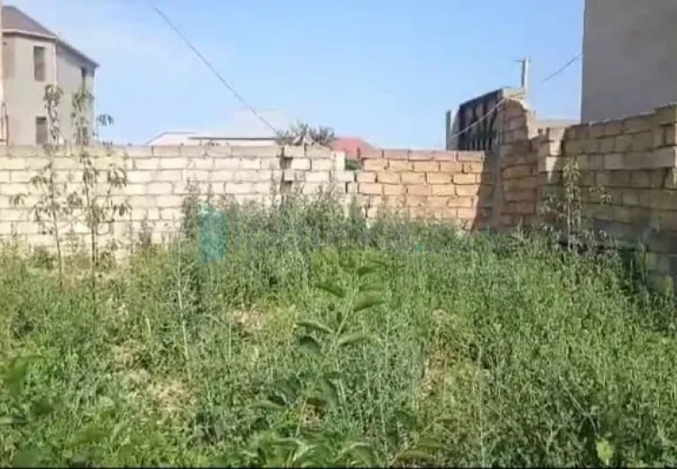 2 sot Torpaq Satılır, Saray, Abşeron