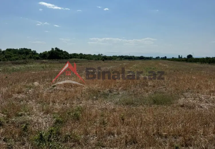 360 sot Torpaq Satılır, Xaçmaz