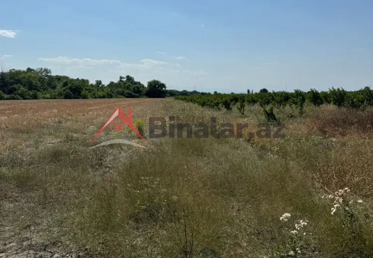360 sot Torpaq Satılır, Xaçmaz
