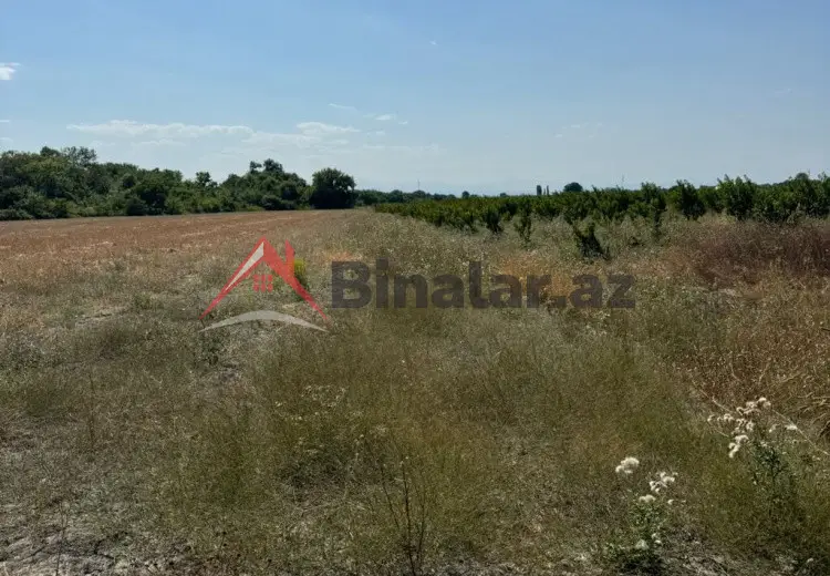 360 sot Torpaq Satılır, Xaçmaz