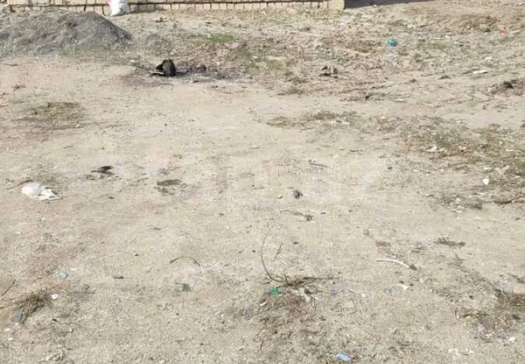 0 m² Obyekt / Ofis , Sumqayıt