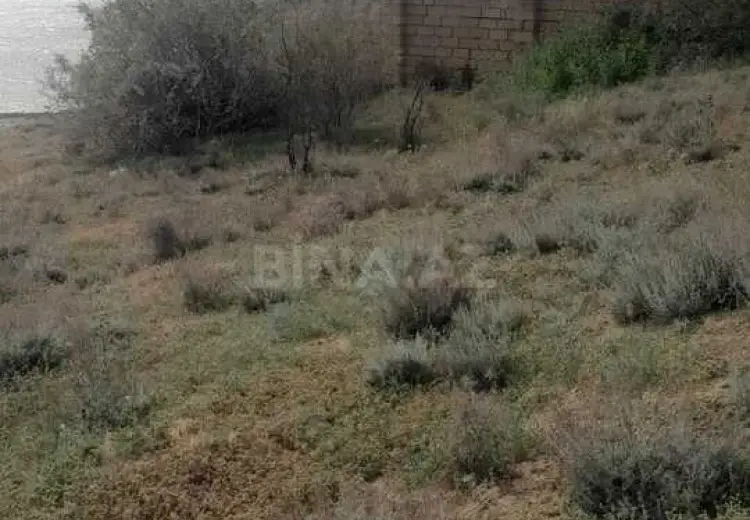 6 sot Torpaq Satılır, Saray, Abşeron